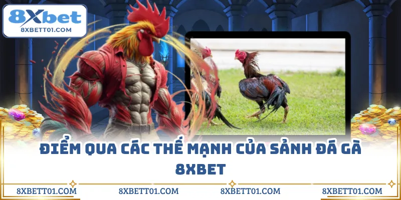 Điểm qua các thế mạnh của sảnh đá gà 8XBET