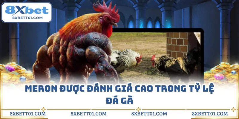 Meron được đánh giá cao trong tỷ lệ đá gà